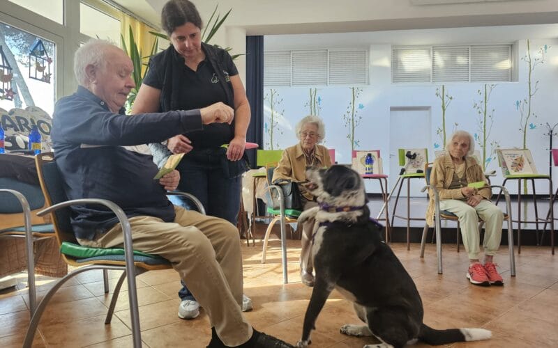 Terapia Assistida por Cães traz novos sorrisos ao CRID