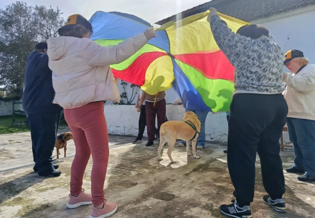 Terapia com cães: amigos de 4patas